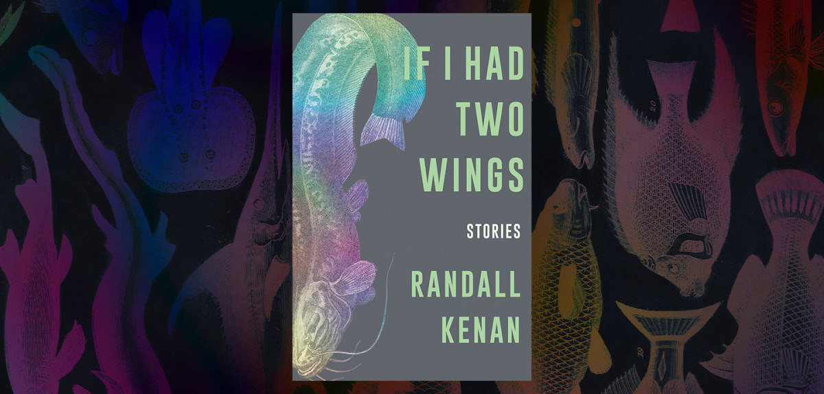 Soaring and Singing in “If I Had Two Wings” – Chicago Review of Books