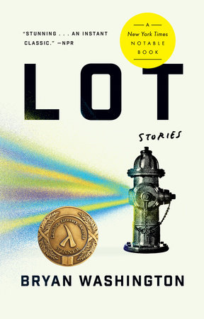 The cover of the book Lot