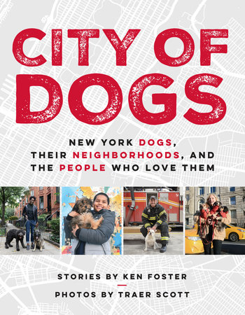 The cover of the book City of Dogs