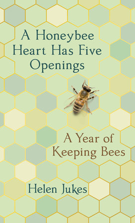 The cover of the book A Honeybee Heart Has Five Openings