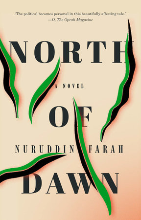 The cover of the book North of Dawn