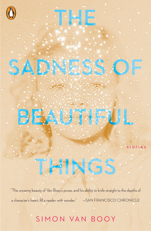 The cover of the book The Sadness of Beautiful Things