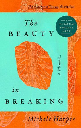 The cover of the book The Beauty in Breaking