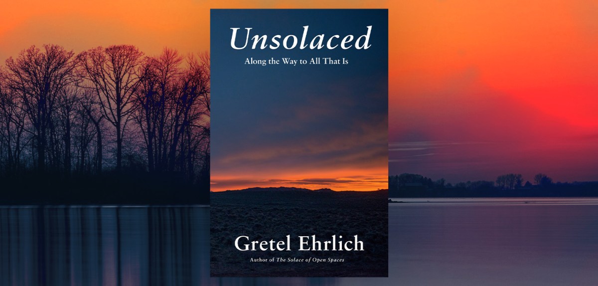 Quiet Grief and Great, Wild Places in “Unsolaced” – Chicago Review of Books