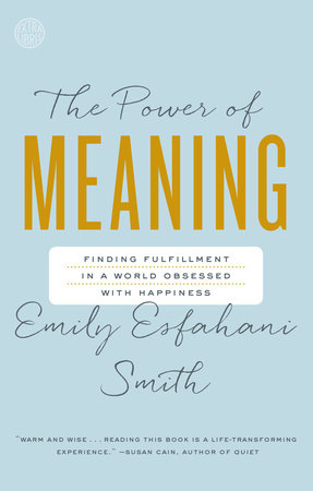The cover of the book The Power of Meaning