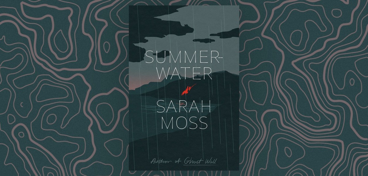 Erosion, Tension, and Outrage in “Summerwater” – Chicago Review of Books