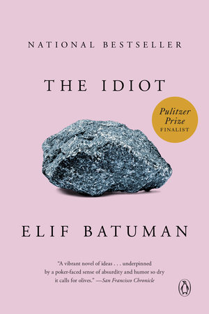 The cover of the book The Idiot