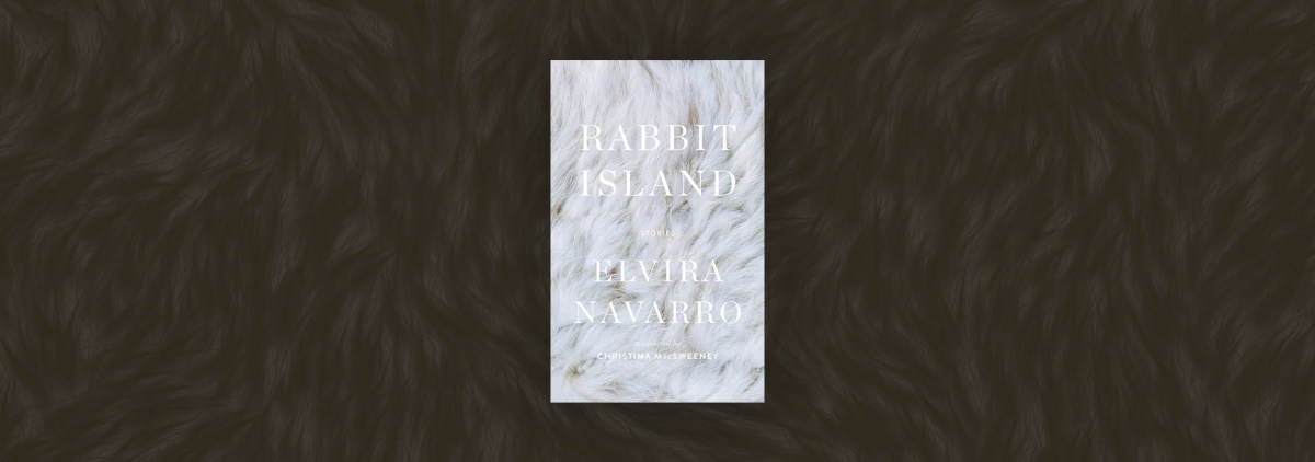 The Open Space of Uncertainty in “Rabbit Island” – Chicago Review of Books