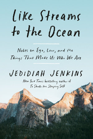 The cover of the book Like Streams to the Ocean