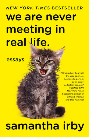 The cover of the book We Are Never Meeting in Real Life.