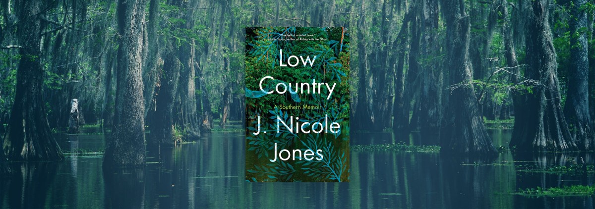 The Unique Dialogue Between Present and Past in “Low Country” – Chicago Review of Books