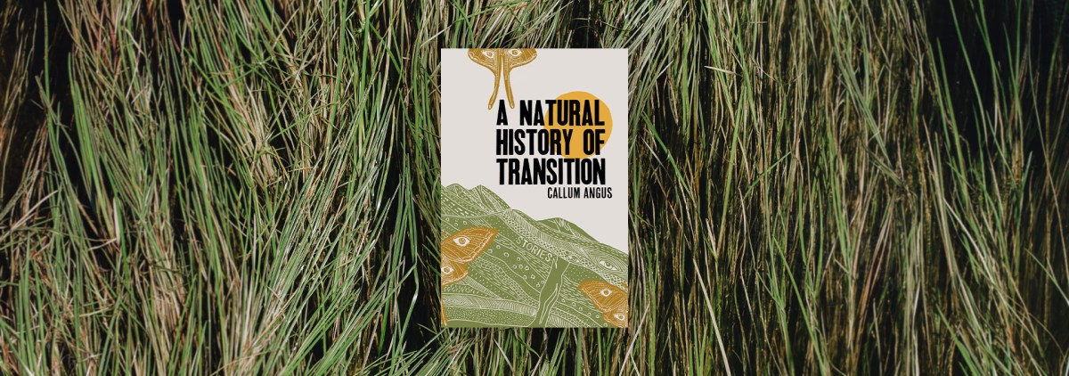 Trans Phantasmagoria in “A Natural History of Transition” – Chicago Review of Books