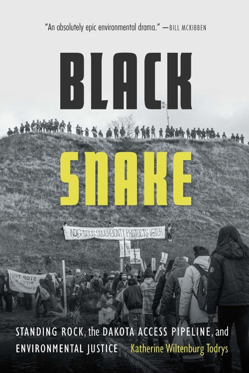 Black Snake cover