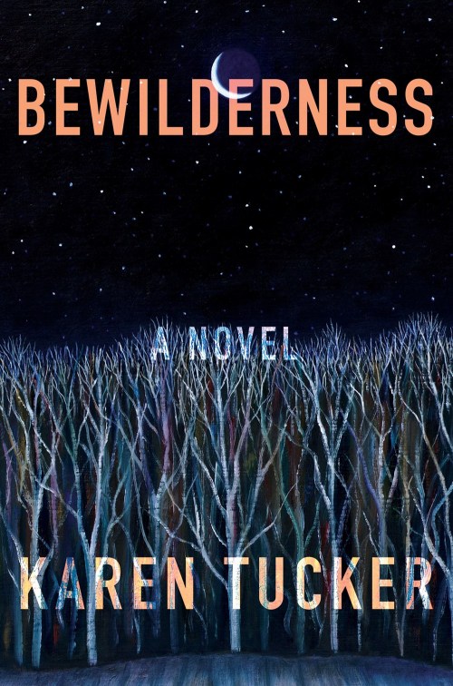 Bewilderness cover