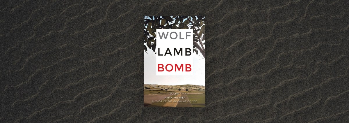 An Excerpt from Wolf Lamb Bomb – Chicago Review of Books