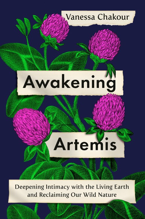 Cover of Awakening Artemis