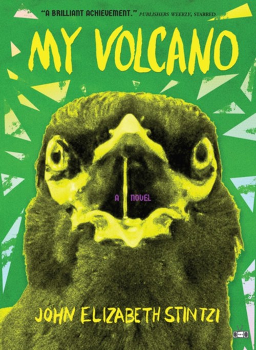 Cover of My Volcano
