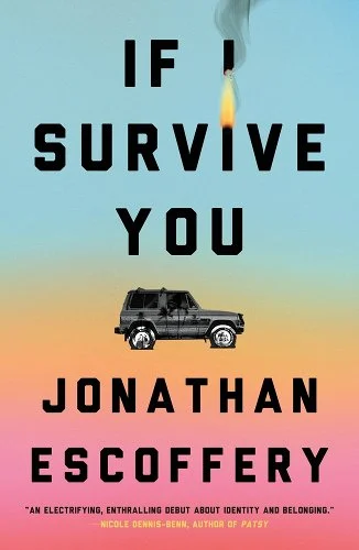 Cover of If I Survive You